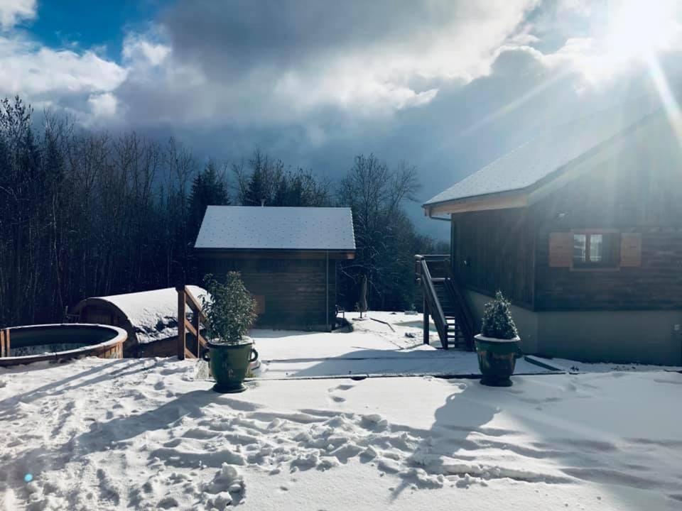 Les Chalets De Ludran Viuz-en-Sallaz Dış mekan fotoğraf