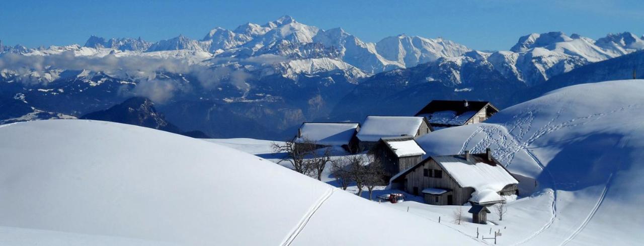 Les Chalets De Ludran Viuz-en-Sallaz Dış mekan fotoğraf